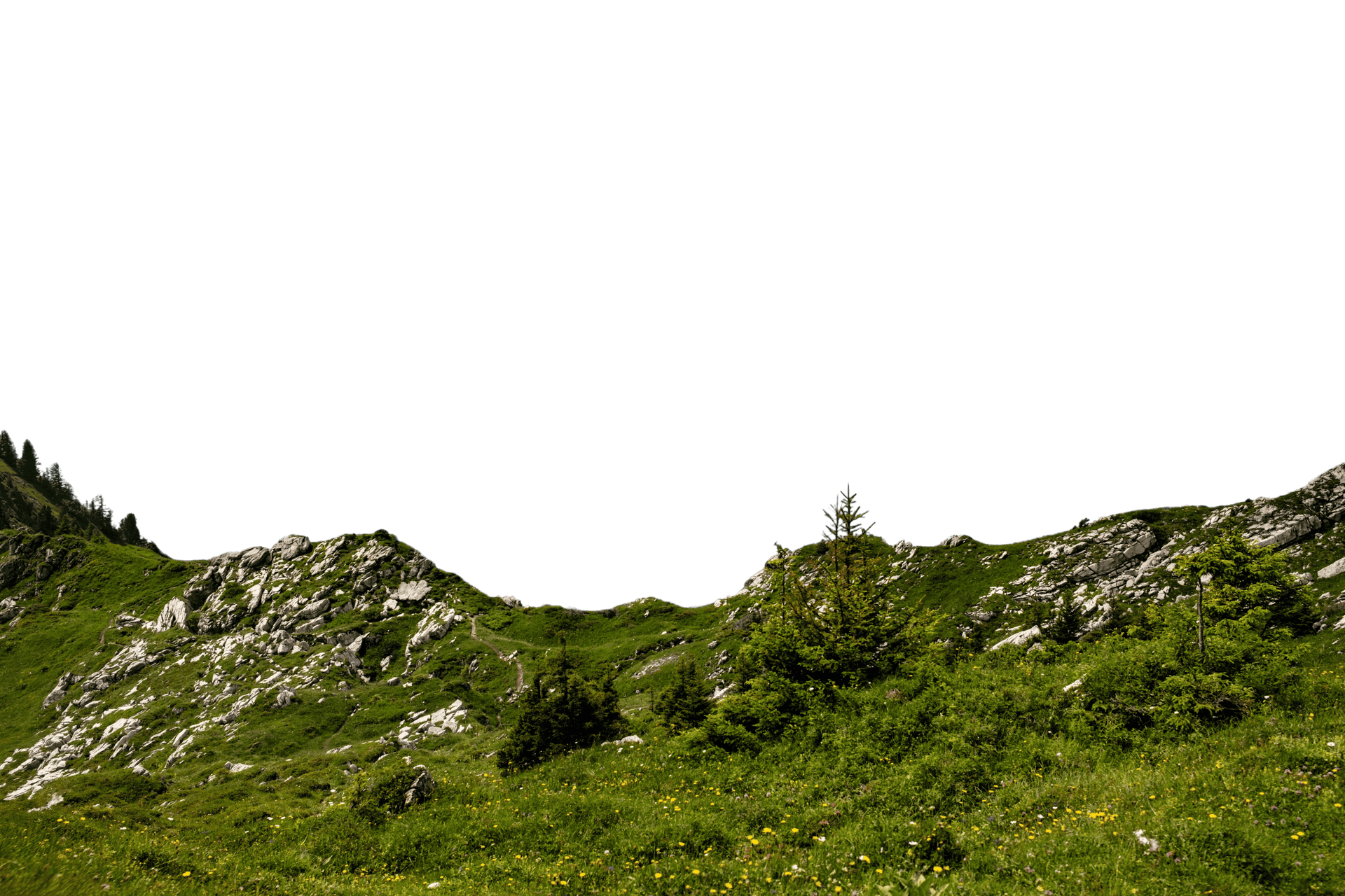 Foreground subject